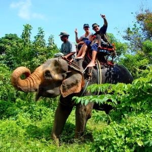 See Elephants in Asia - Elephants in Asia, Elephants World in Kanchanaburi, elephant hills, khao sok national park, Patara Elephant Farm, Shangri Lao Elephant Village