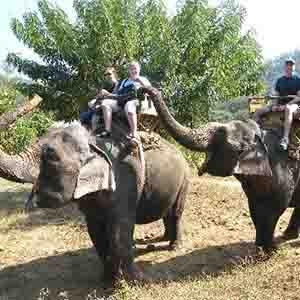 Day 6 - Chiangmai - Elephant Safari Tour