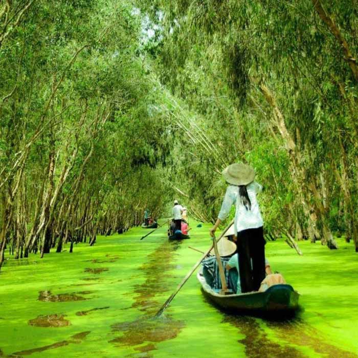 Mekong 3-day Tour with Tra Su Cajuput Forest