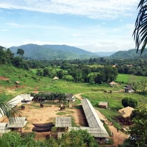 Day 6 – Chiang Rai