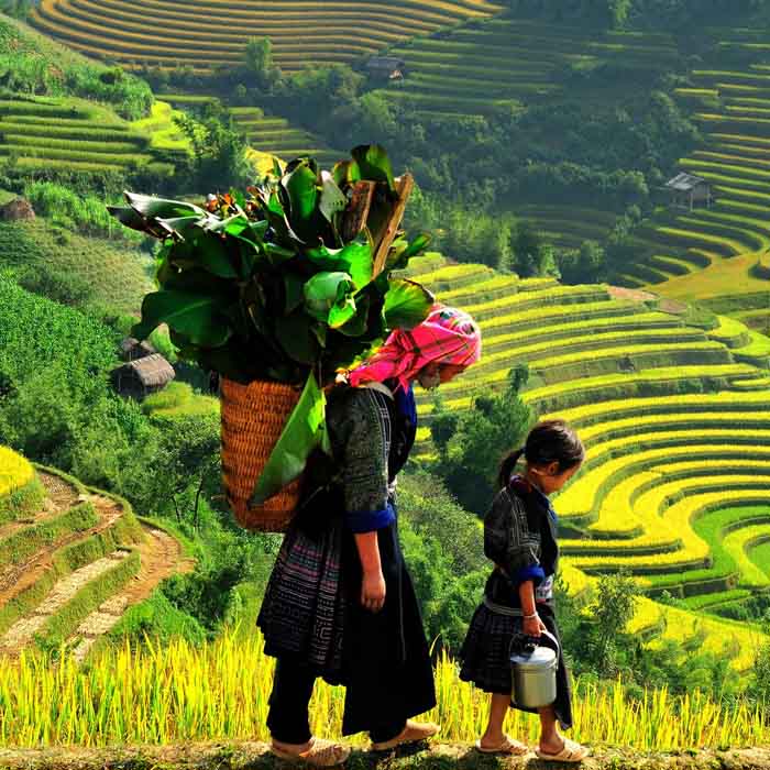 Full Day Excursion in SaPa