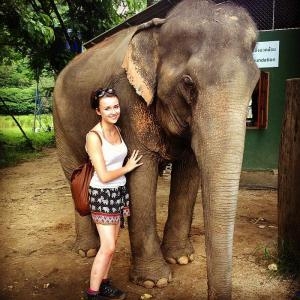 Chiang Mai, Thailand Day Trips, Elephant Nature Park, Wat Umong, Wat Suan Dok