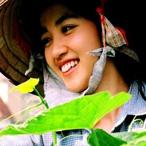 How to see the best of Vietnam in two weeks? - Southeast Asia, Vietnam, Hanoi, Ha Long Bay, Sapa, Hoi An, Da Nang, Hochiminh City, Mekong Delta