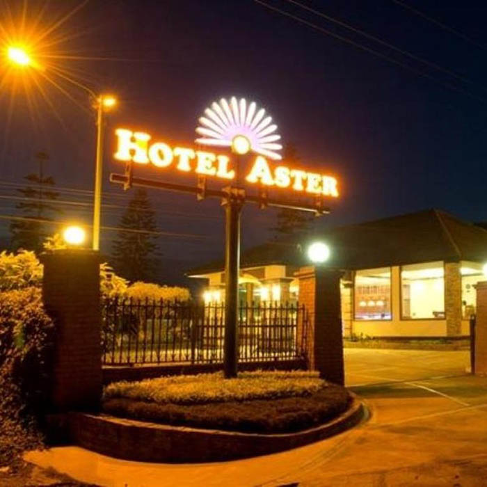 Hotel Aster