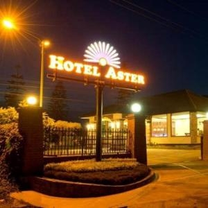 Hotel Aster - Hotel Aster, hotel in Mandalay