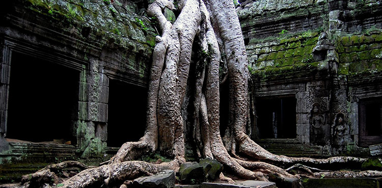 14657867513605_Cambodia_14639887658612_Angkor1.jpg
