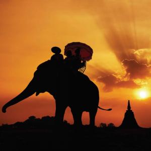 14671022216114_thailand--elephant_temple_silhouette_at_sunset.jpg